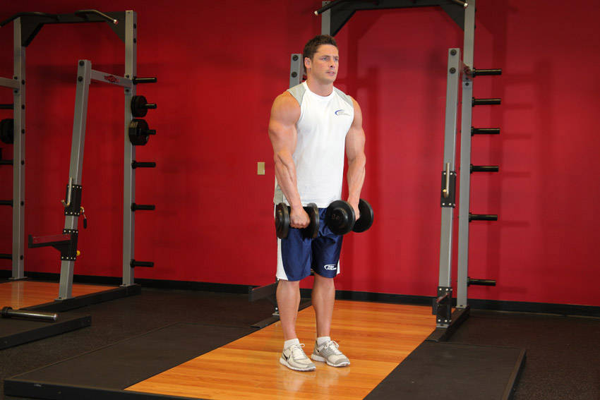 Front Dumbbell Raise reference position 1