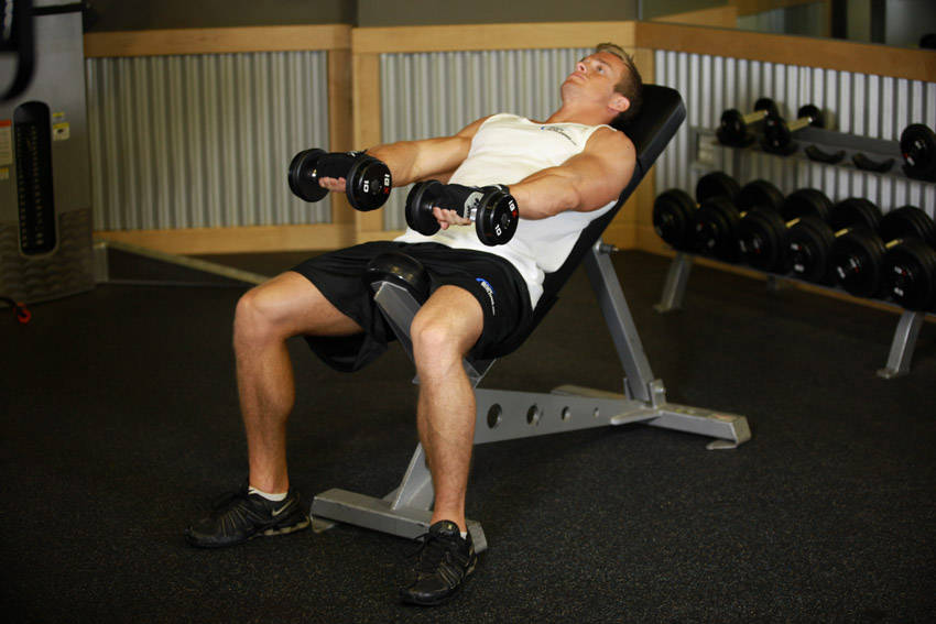 Front Incline Dumbbell Raise reference position 1