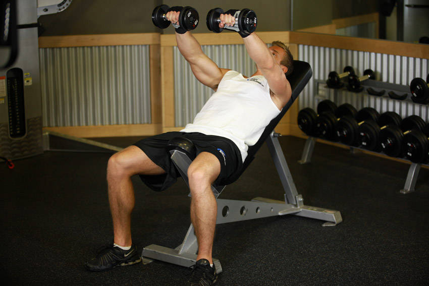 Front Incline Dumbbell Raise reference position 2
