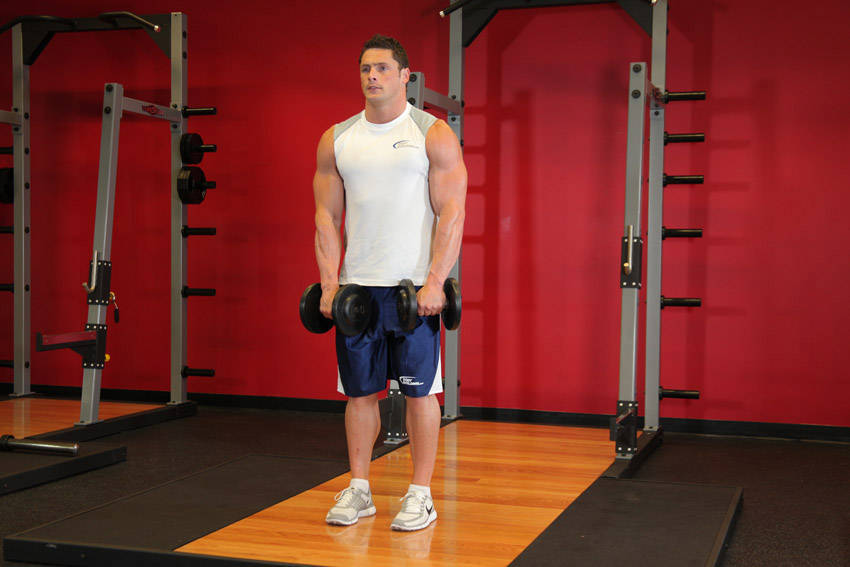 Front Two-Dumbbell Raise reference position 1