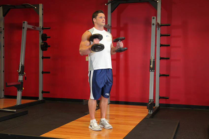 Hammer Curls reference position 2