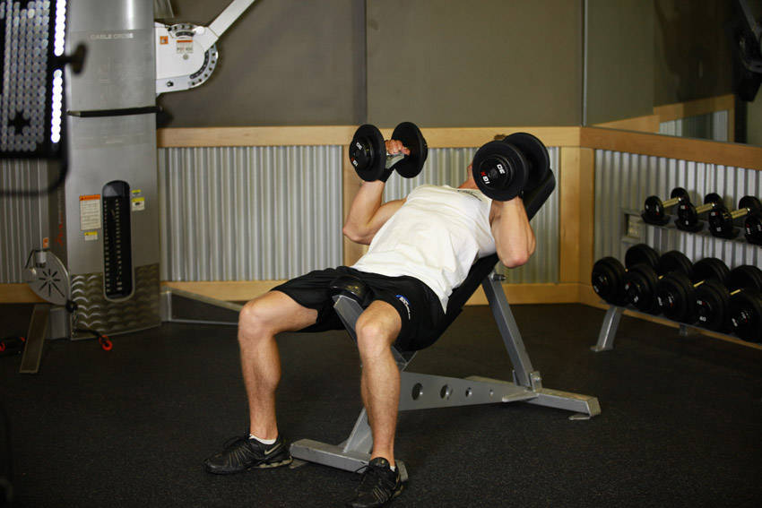 Hammer Grip Incline DB Bench Press reference position 1