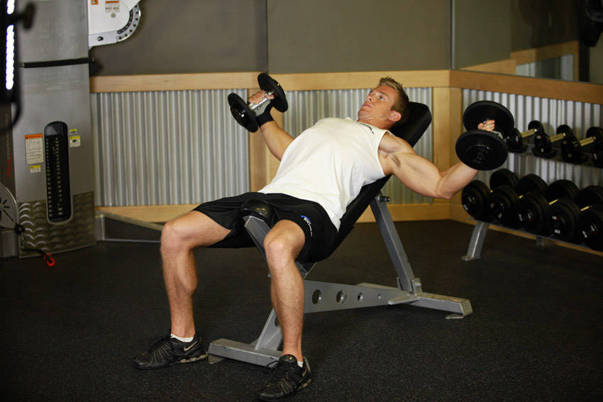 Incline Dumbbell Flyes reference position 2