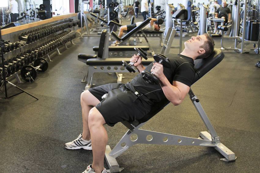 Incline Hammer Curls reference position 2