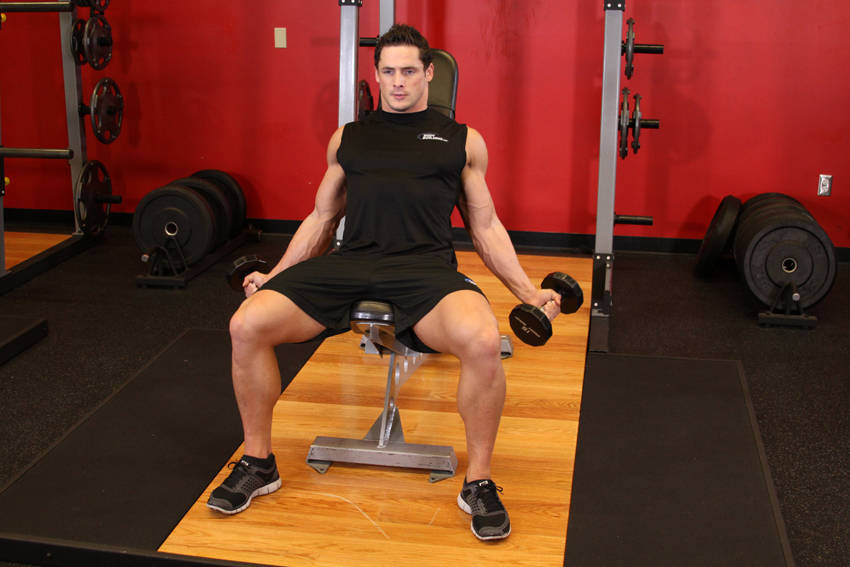 Incline Inner Biceps Curl reference position 1
