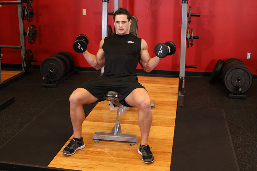 Incline Inner Biceps Curl reference position 2