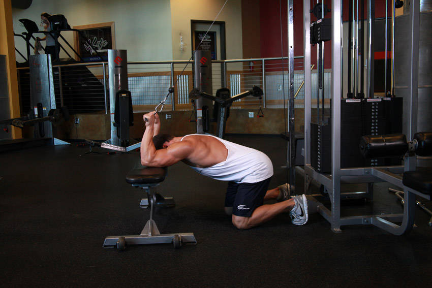 Kneeling Cable Triceps Extension reference position 1