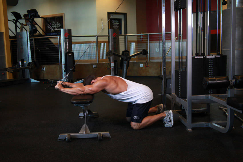 Kneeling Cable Triceps Extension reference position 2