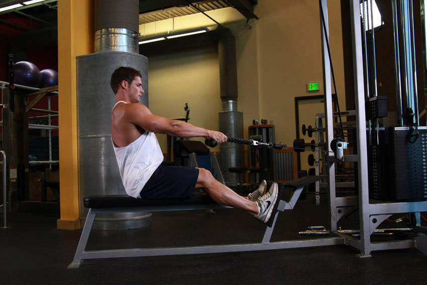 Low Pulley Row To Neck reference position 1
