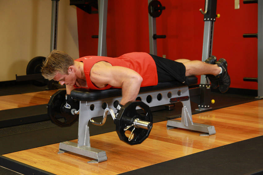 Lying Cambered Barbell Row reference position 2