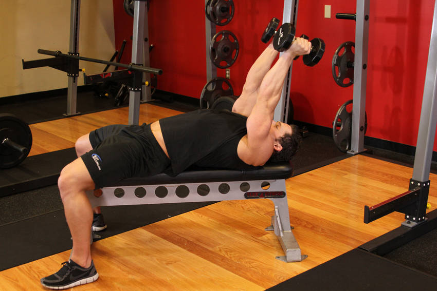Lying Dumbbell Tricep Extension reference position 2