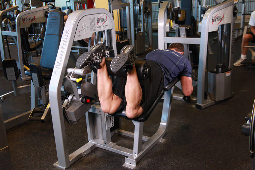 Lying Leg Curls reference position 2
