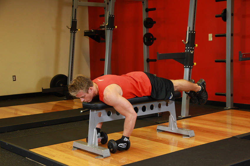 Lying Rear Delt Raise reference position 2