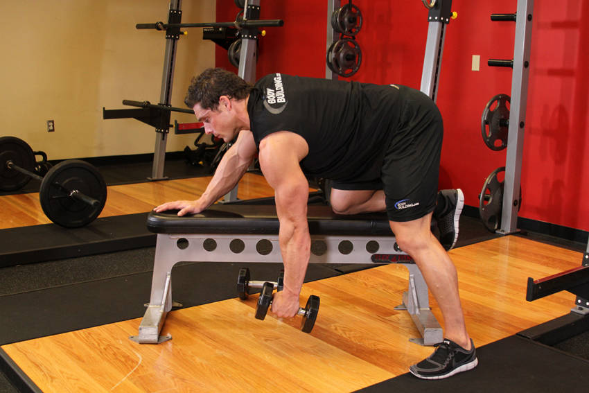 One-Arm Dumbbell Row reference position 1