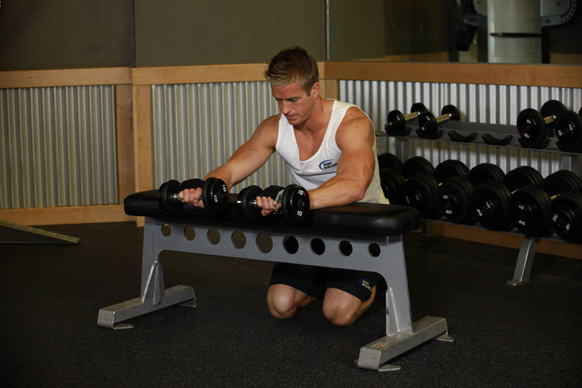 Palms-Down Dumbbell Wrist Curl Over A Bench reference position 2