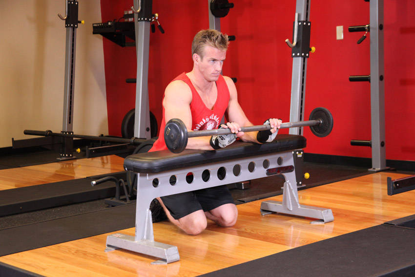 Palms-Down Wrist Curl Over A Bench reference position 2
