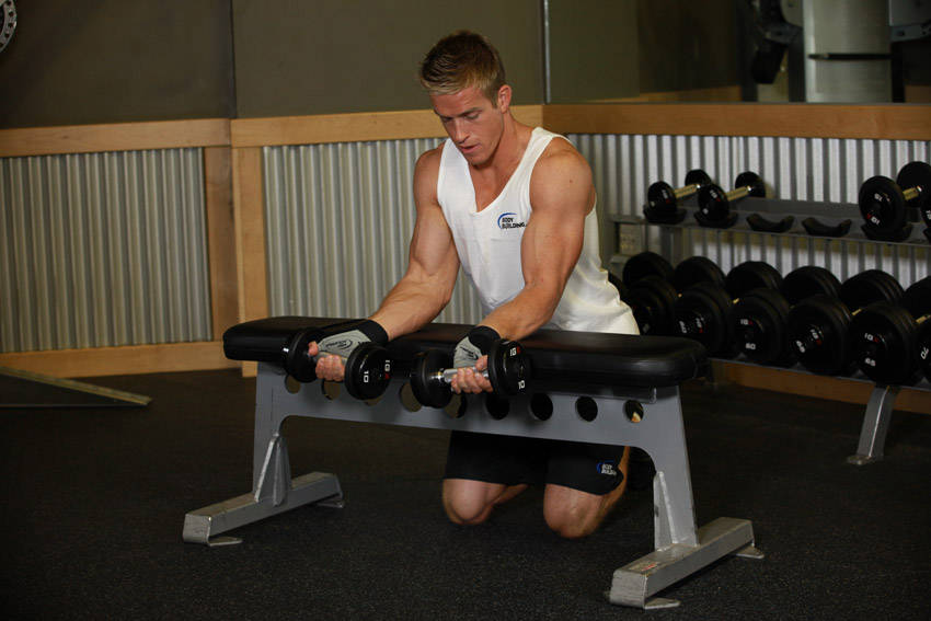 Palms-Up Dumbbell Wrist Curl Over A Bench reference position 1