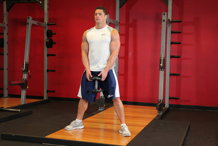 Plie Dumbbell Squat reference position 1
