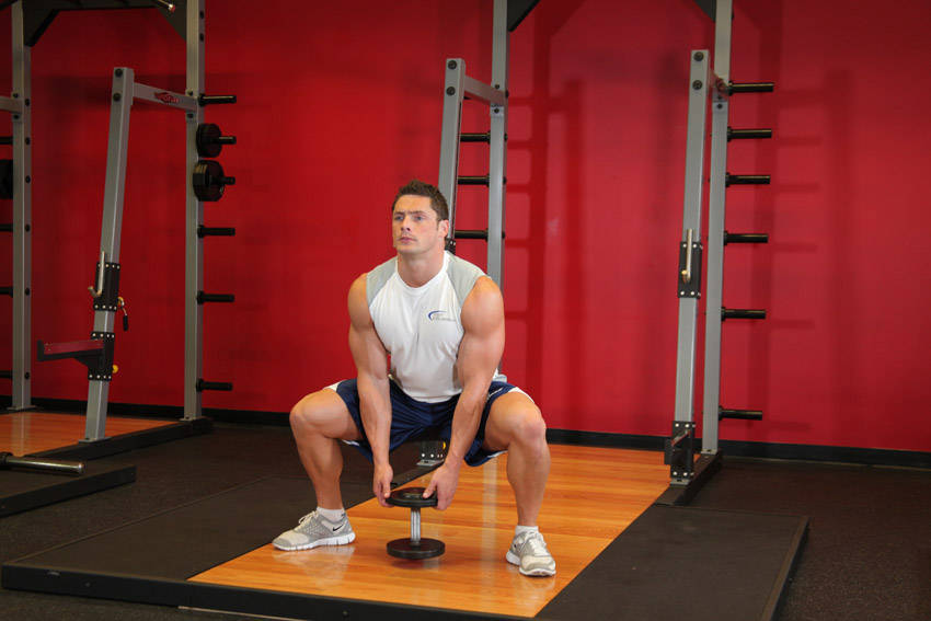 Plie Dumbbell Squat reference position 2