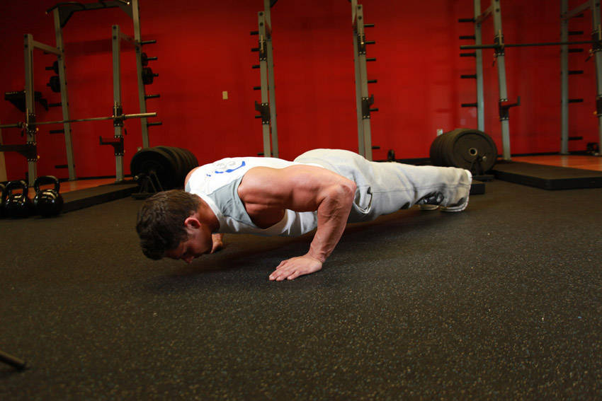 Pushups reference position 2