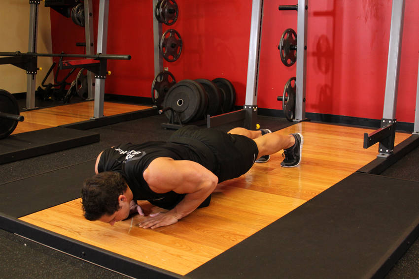 Pushups (Close and Wide Hand Positions) reference position 1