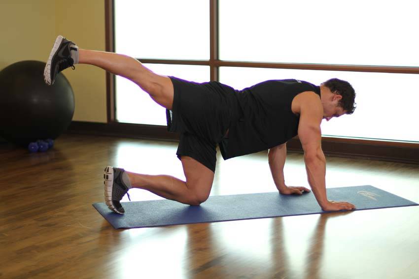 Rear Leg Raises reference position 2