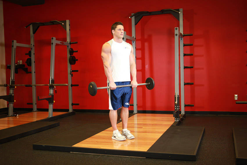 Reverse Barbell Curl reference position 1