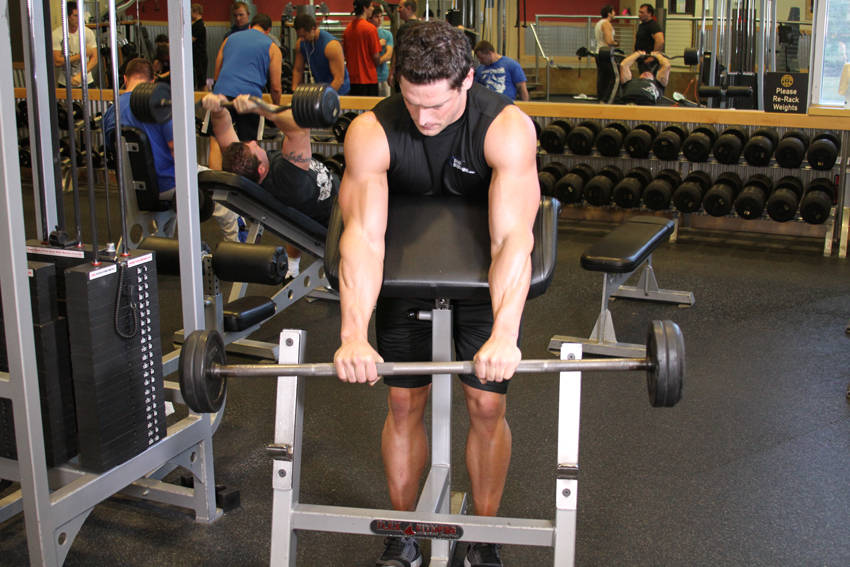 Reverse Barbell Preacher Curls reference position 1