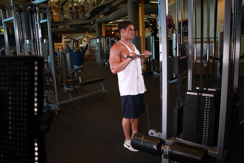 Reverse Cable Curl reference position 1