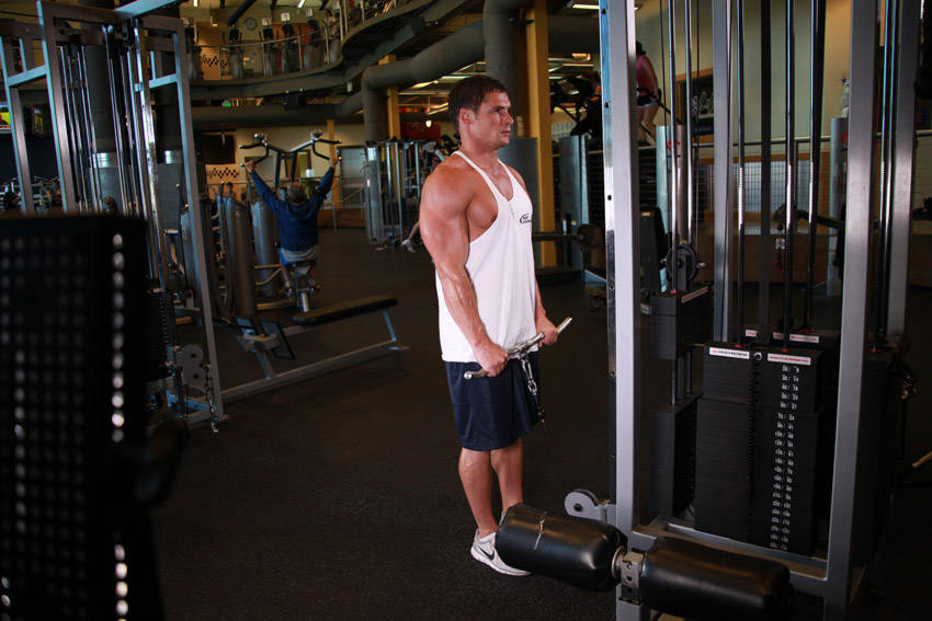 Reverse Cable Curl reference position 2