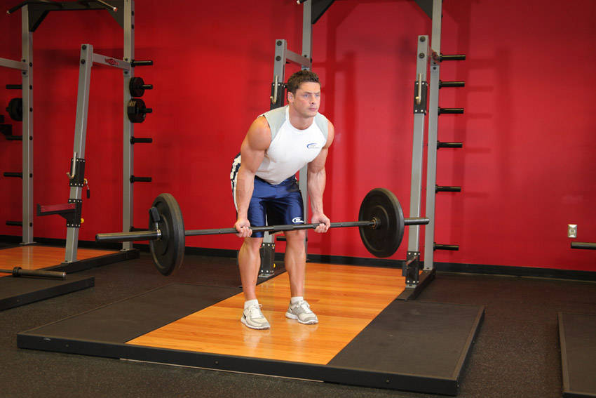 Reverse Grip Bent-Over Rows reference position 1