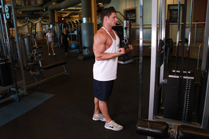 Reverse Grip Triceps Pushdown reference position 1