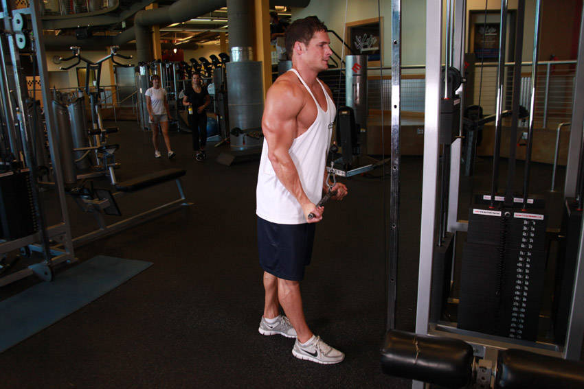Reverse Grip Triceps Pushdown reference position 2