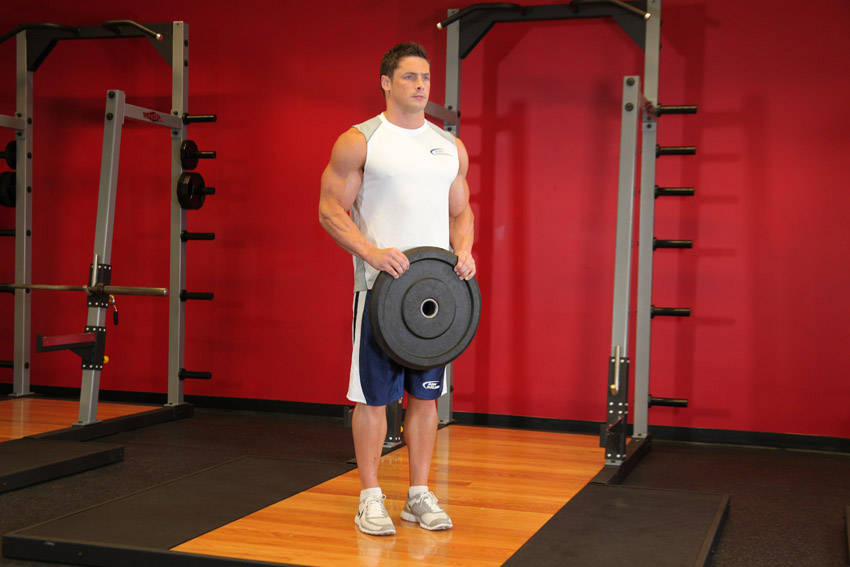 Reverse Plate Curls reference position 1