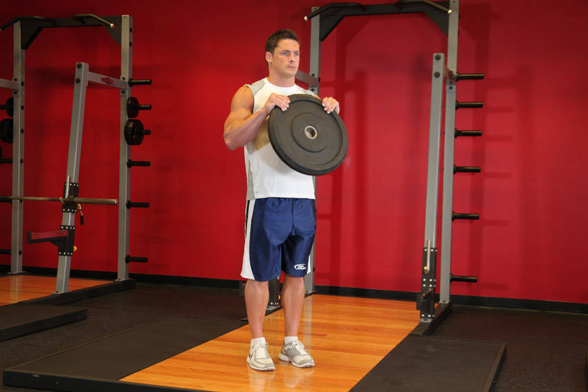 Reverse Plate Curls reference position 2