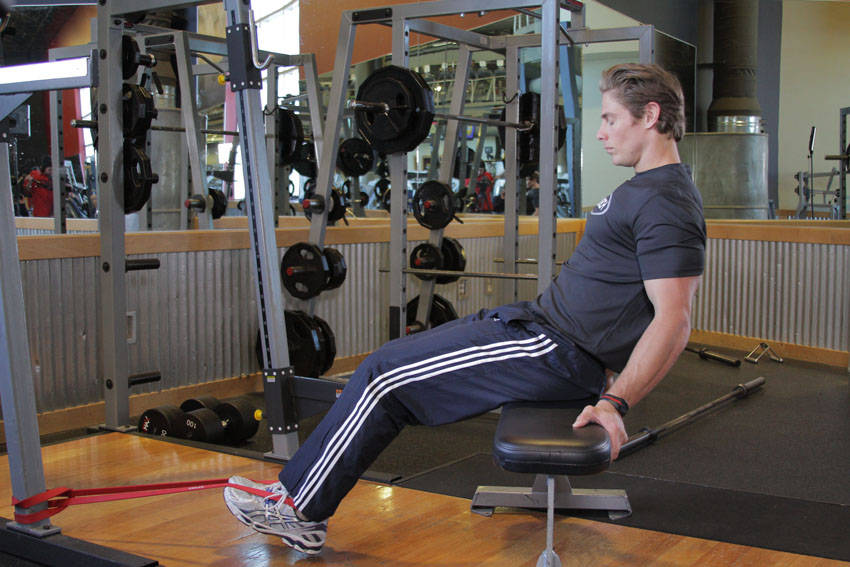 Seated Band Hamstring Curl reference position 1