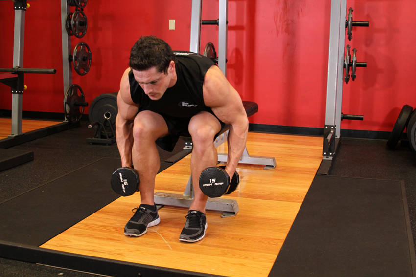 Seated Bent-Over Rear Delt Raise reference position 1