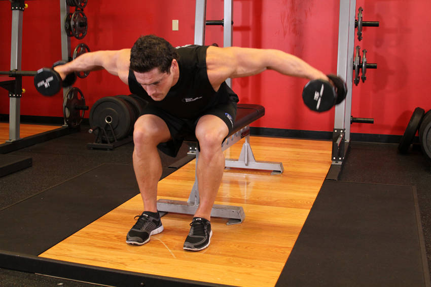 Seated Bent-Over Rear Delt Raise reference position 2