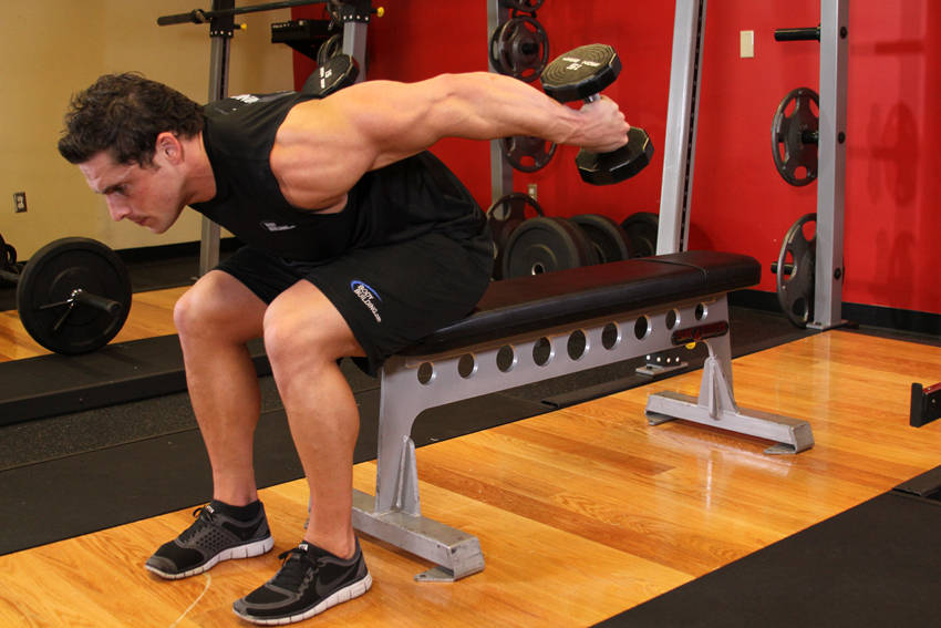 Seated Bent-Over Two-Arm Dumbbell Triceps Extension reference position 2