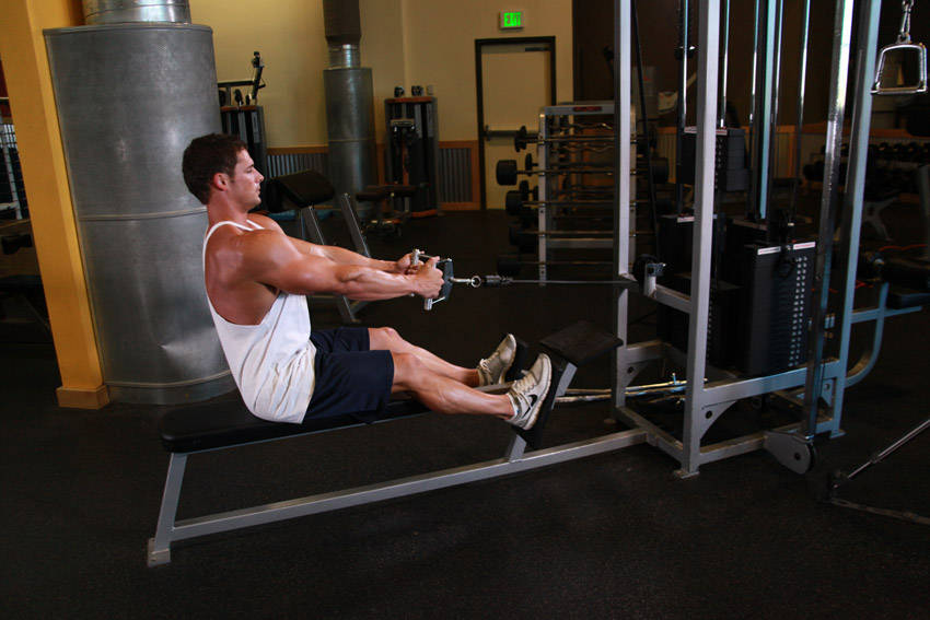 Seated Cable Rows reference position 1