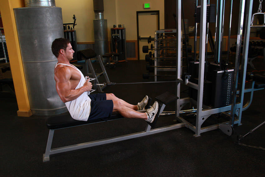 Seated Cable Rows reference position 2
