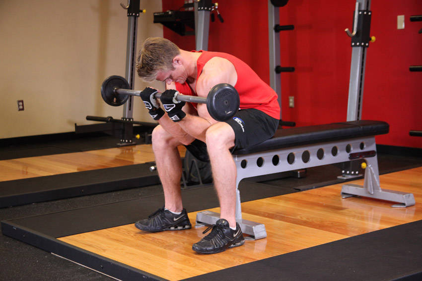 Seated Close-Grip Concentration Barbell Curl reference position 2