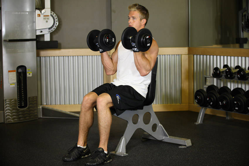 Seated Dumbbell Curl reference position 2