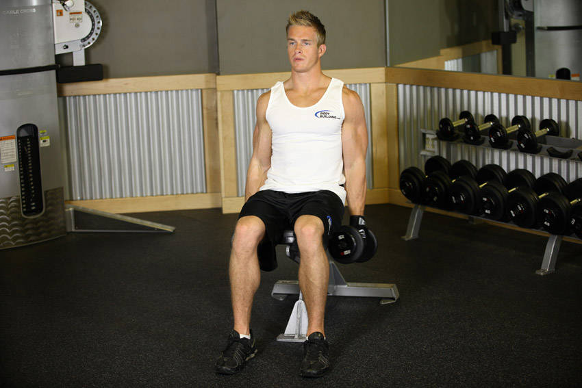 Seated Dumbbell Inner Biceps Curl reference position 1