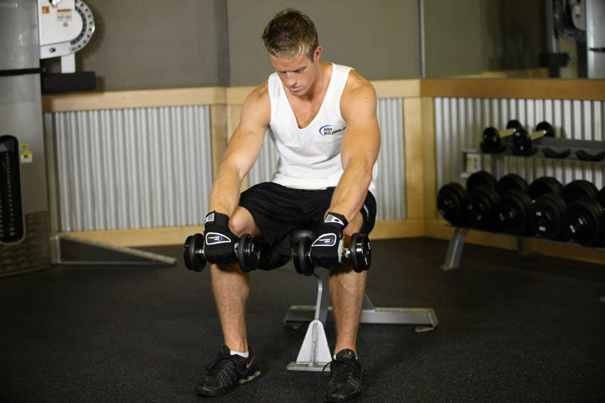Seated Dumbbell Palms-Down Wrist Curl reference position 1