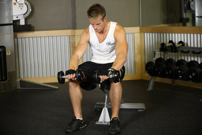 Seated Dumbbell Palms-Down Wrist Curl reference position 2