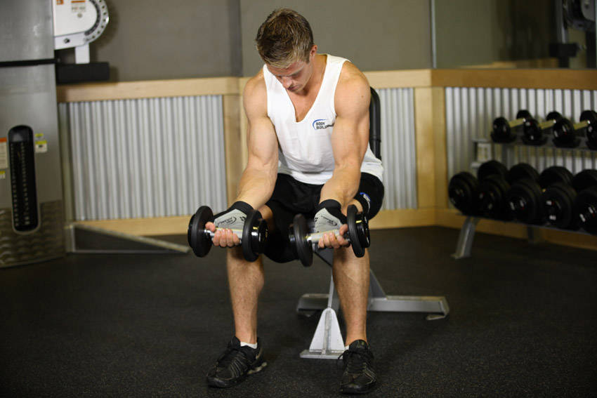 Seated Dumbbell Palms-Up Wrist Curl reference position 1