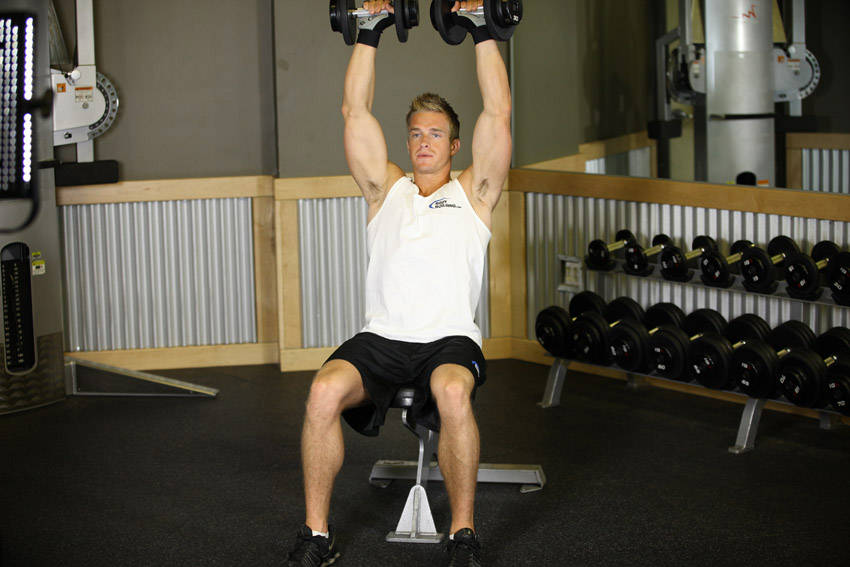 Seated Dumbbell Press reference position 1