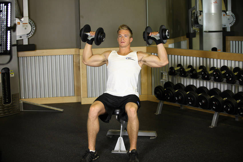 Seated Dumbbell Press reference position 2
