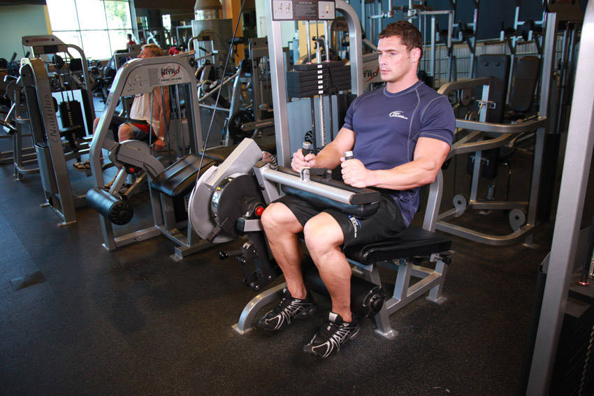 Seated Leg Curl reference position 2